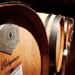 Barrels in our Priorat Wine Tours