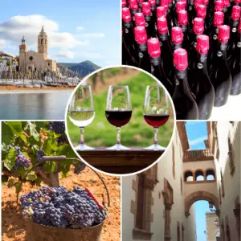 Private Sitges and Wine Tour