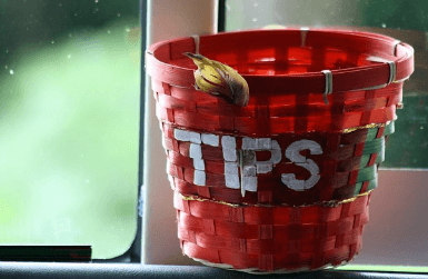 Tipping in Barcelona
