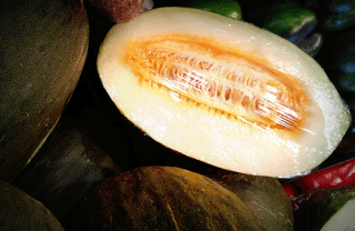 Open melon, a delicious Summer fruit (Spain)