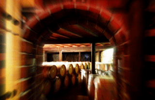 Barcelona Wine Country: at the cellars
