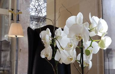 Majestic Hotel Review by ForeverBarcelona