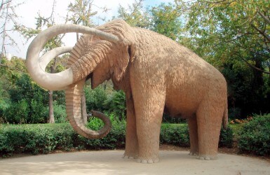What to do in Ciutadella Park Mammoth