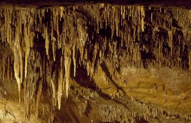Stalactites in a Catalan cave