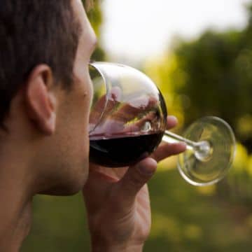Young man drinking priorat wines